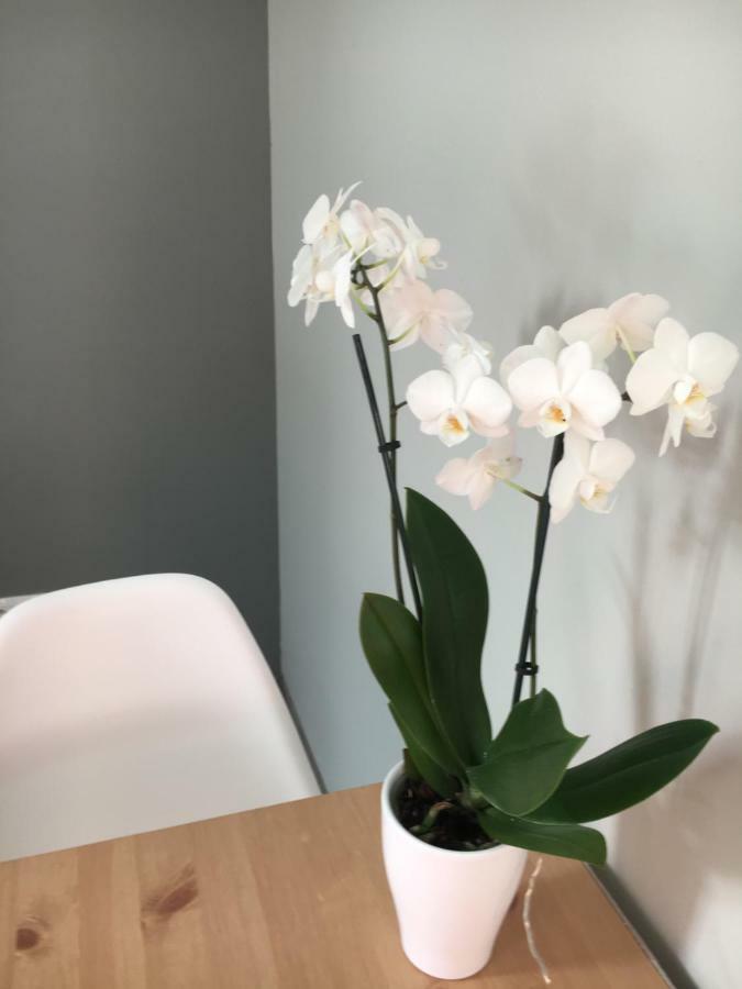 Apartament Easy Stay Center ヴロツワフ エクステリア 写真